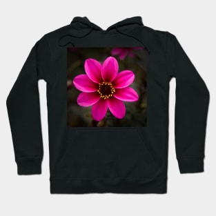 Dahlia Hoodie